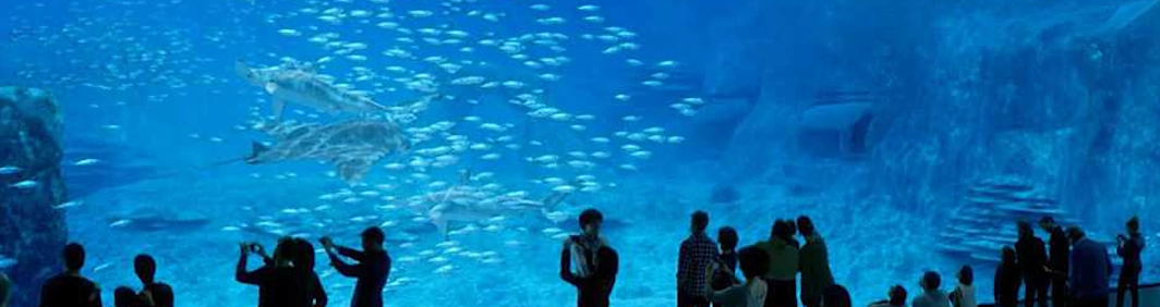 Aquarium de Paris