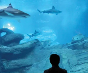 Aquarium de Paris
