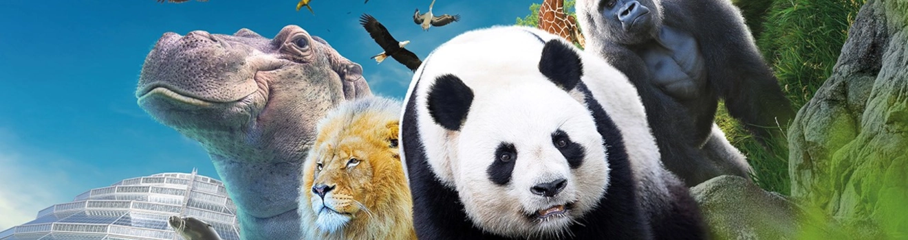 Zoo de Beauval