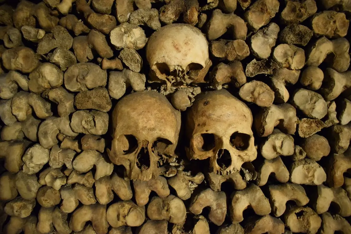 Détail de crânes empilés dans les Catacombes de Paris