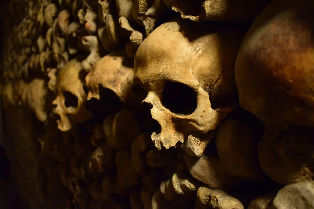 Mur de crânes et de fémurs disposés en rangées dans les Catacombes de Paris
