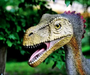 Dino-Zoo