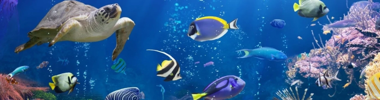 Sea Life Paris