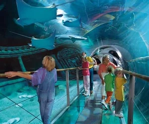 Aquarium Sea Life Paris Val d'Europe