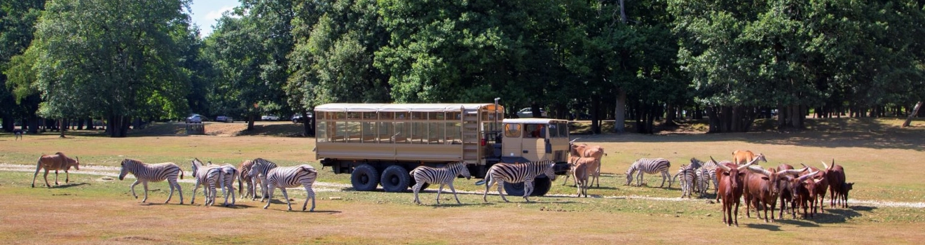 Zoo de Thoiry