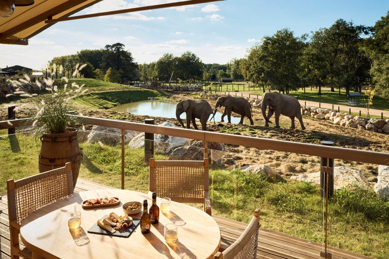 lodges sejour zoo safari thoiry