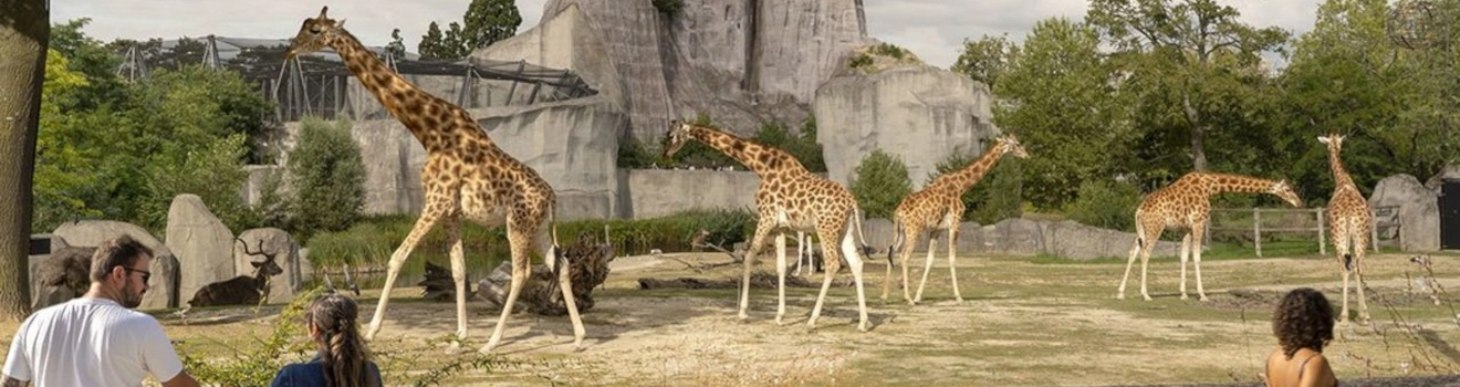 Zoo de Vincennes