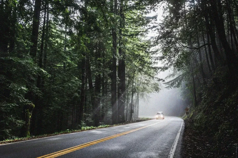 Pourquoi vérifier ses pneus avant de prendre la route des vacances ?