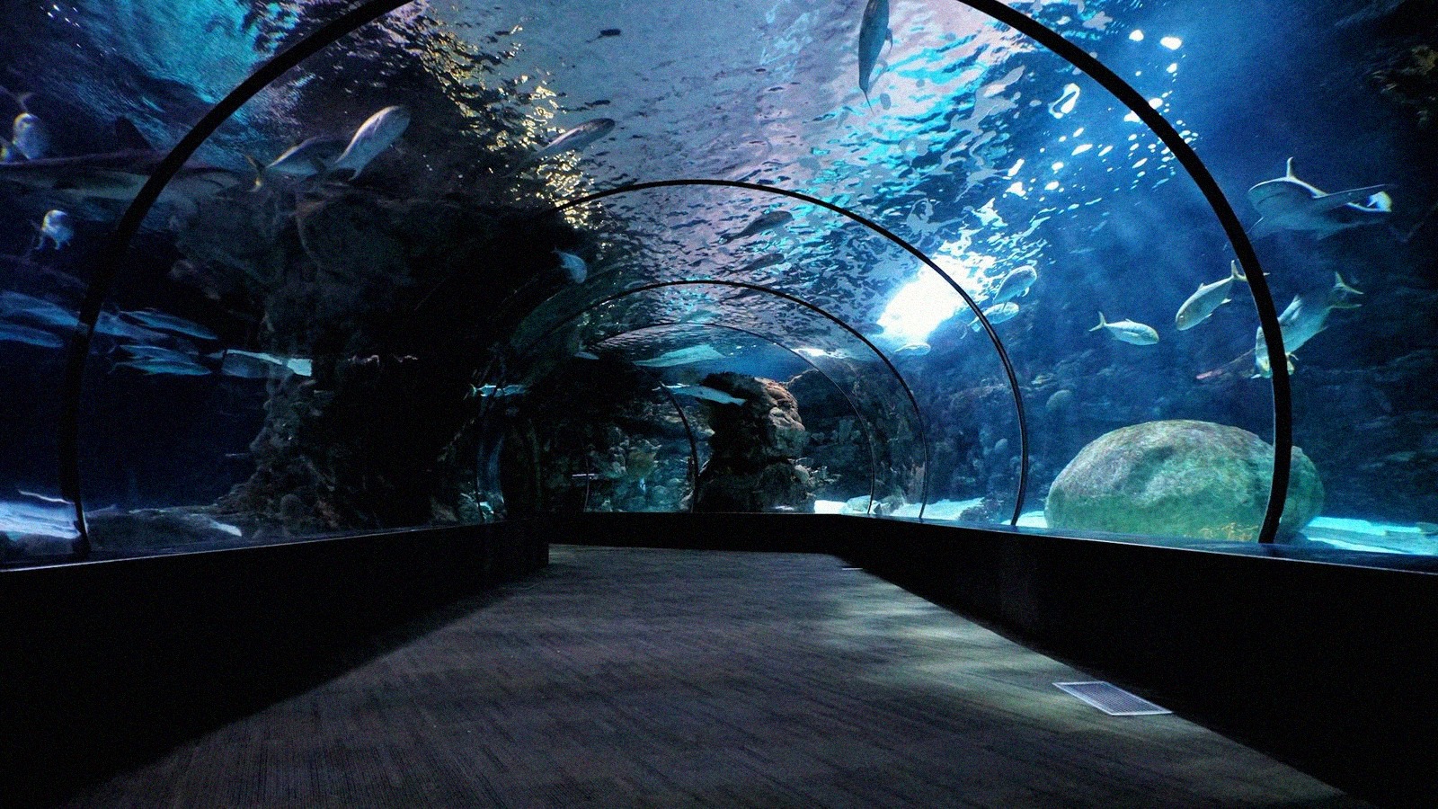 Aquarium de paris en octobre 2026 fermetures de la salle de