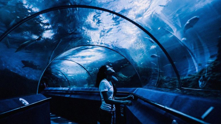 Aquarium de Paris le 15 septembre 2026 : comment organiser sa visite pendant la fermeture de la salle de spectacles