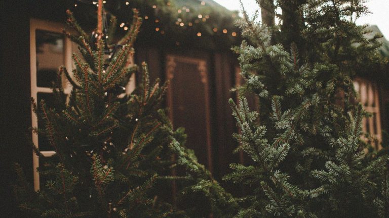 Le Mystère de Noël au Puy du Fou : dates, spectacles et tarifs pour réserver en 2026