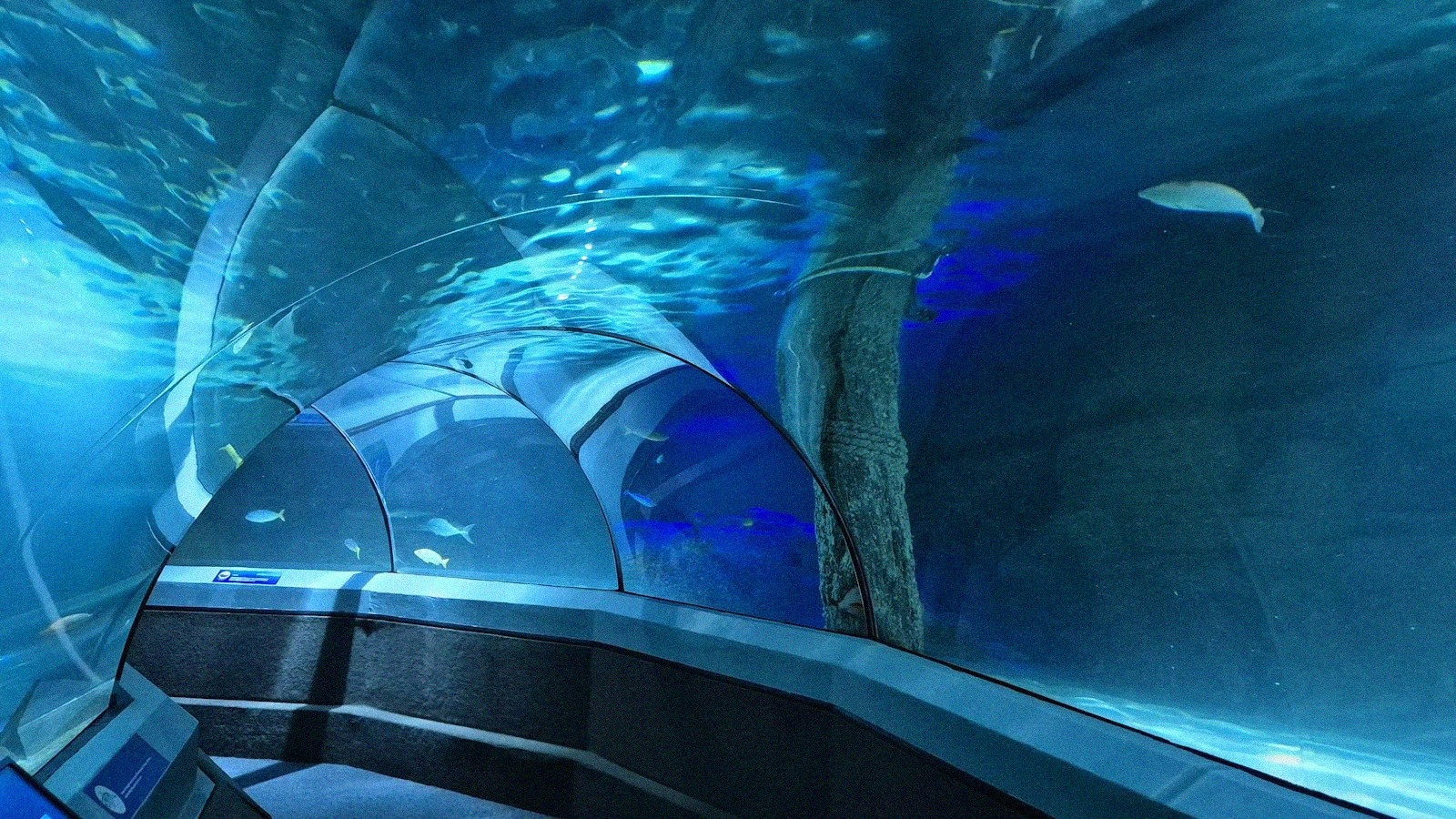 Aquarium de paris le 8 octobre 2026 fermeture de la salle