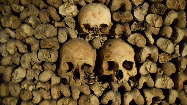 Catacombes de Paris : tarifs des billets, règle des 7 jours et conseils de visite