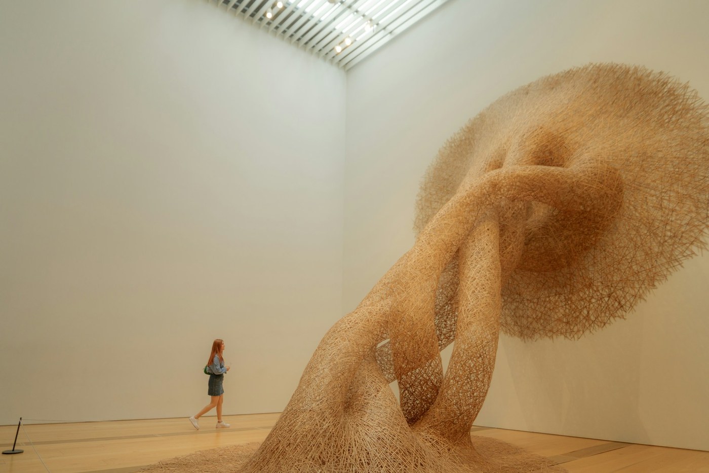Installation sculpturale abstraite dans une galerie d’art contemporain
