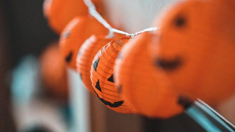 Journée Frissons au Parc zoologique de Paris pour Halloween : programme, réduction déguisement et conseils de visite